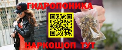 тгк Берёзовский