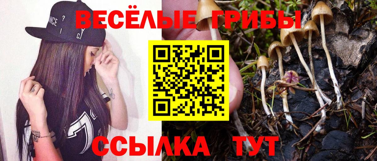 Великий Новгород  Галлюциногенные грибы Psilocybine cubensis  Вход с VPN 